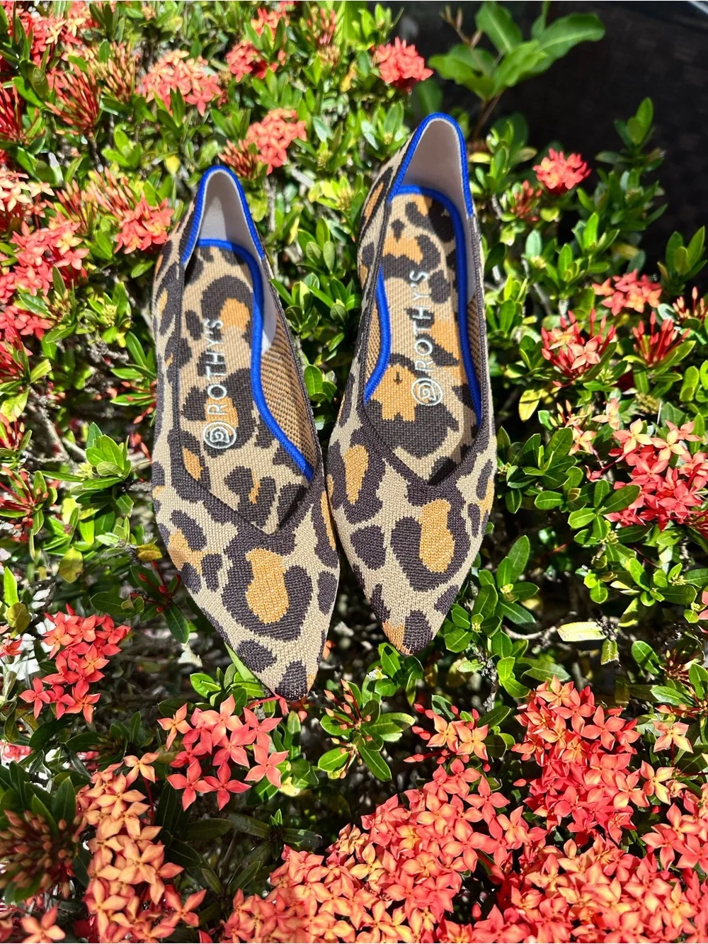 Rothy’s Leopard Print Pointed Toe Flats - Women's Sz 7 NWOT